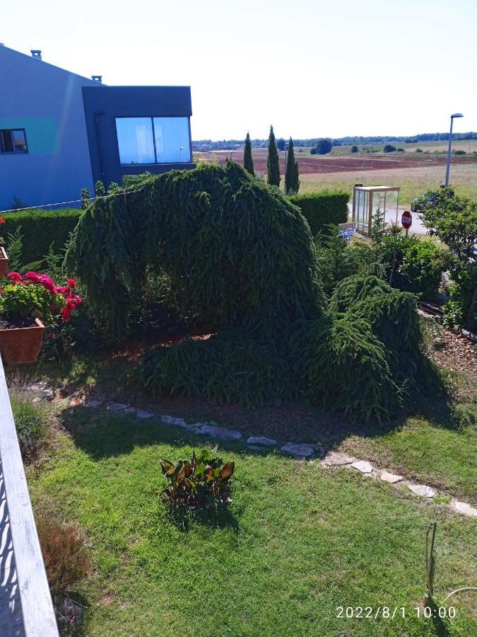 Apartments Ribic Umag Dış mekan fotoğraf
