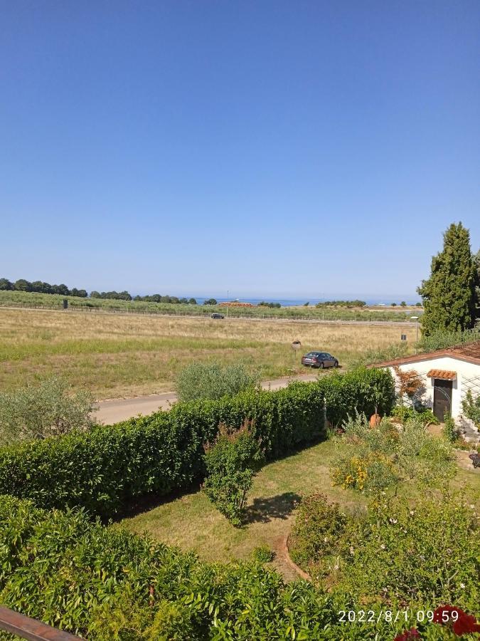 Apartments Ribic Umag Dış mekan fotoğraf